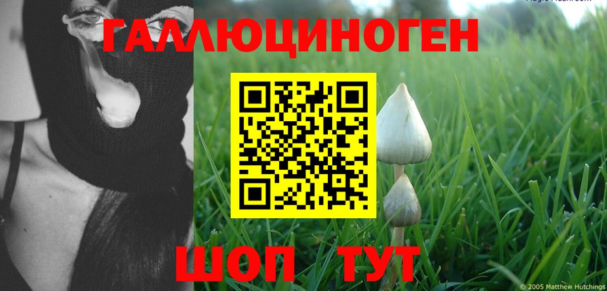 даркнет сайт  Галлюциногенные грибы MAGIC MUSHROOMS  Ангарск  Вход с VPN  Псилоцибиновые грибы Cubensis 
